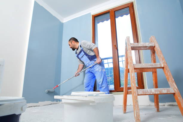 Best Mold Damage Restoration  in Orchard Homes, MT
