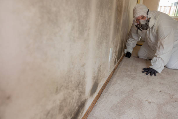 Best Crawl Space Mold Remediation  in Orchard Homes, MT